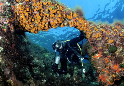 Agenzia/operatore Turistico Crociere In Caicco Non Solo Charter